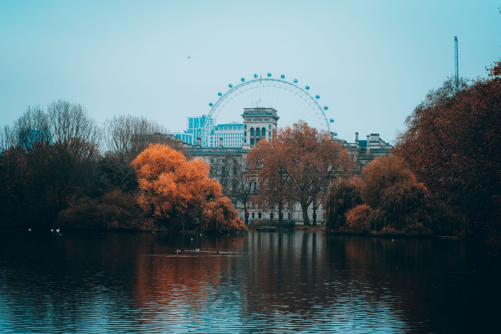 Autumn colour across the lake in St James's Park, with the London Eye beyond